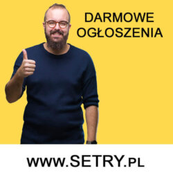 Rejestracja firmy w niemczech koszty